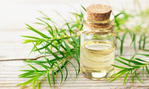 Exploring Tea Tree Oil and the Best Tongkat Ali Supplements